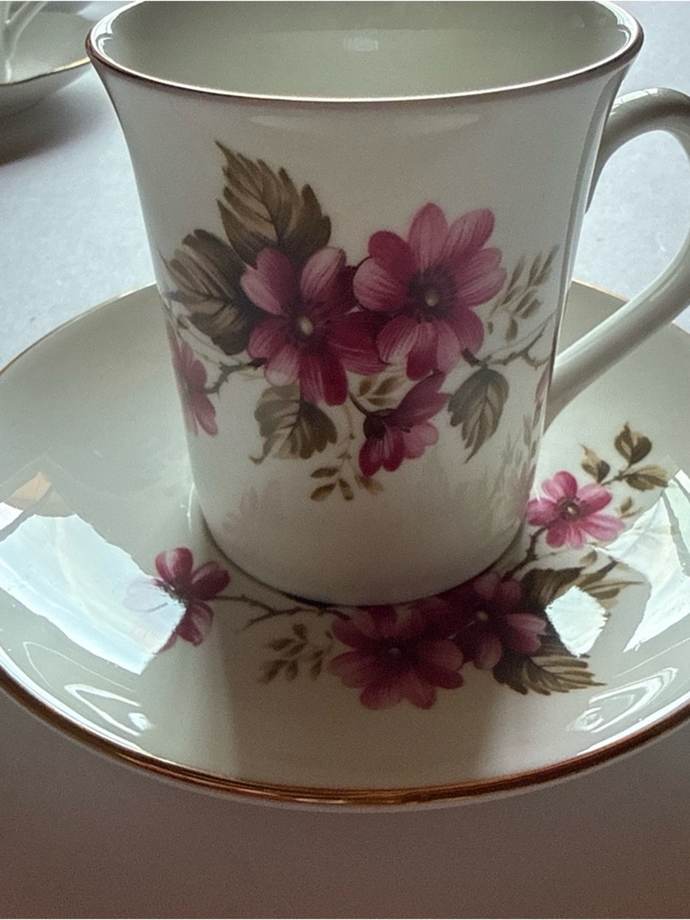 Vintage Floral Pink Tea Cup and Saucer Set